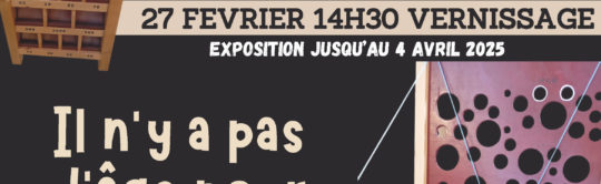 Expo “Jeux en bois” à la direction générale d’Acséa !